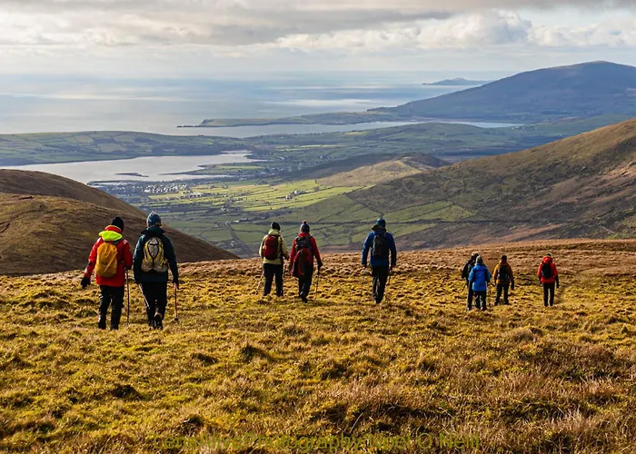 Oda ve Kahvaltı Doonshean View 3*