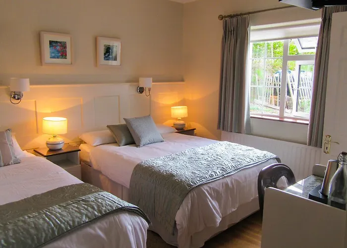 Doonshean View Dingle